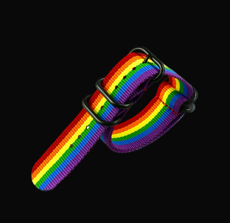 20mm LGBT Rainbow Zulu NATO Military Watch Strap in Ballistic Nylon Webbing